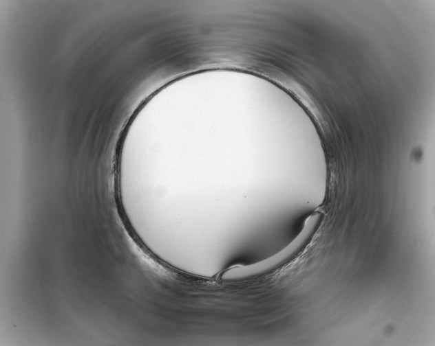 X0000098211143200805221621