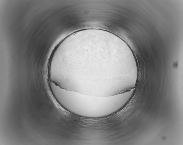 X0000098211144200805221621