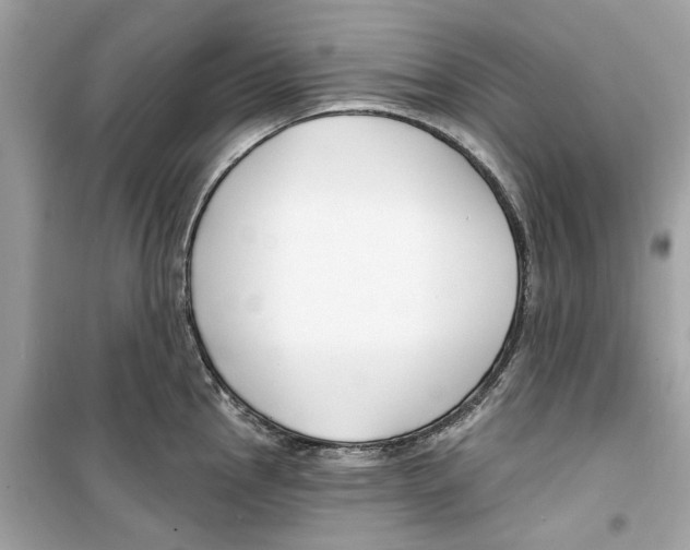 X0000098211145200805221621
