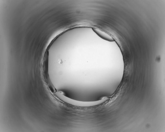 X0000098211146200805221621