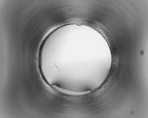 X0000098211147200805221621