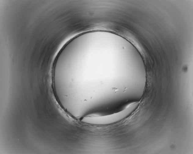 X0000098211148200805221621