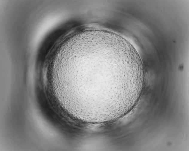 X0000098211150200805221622