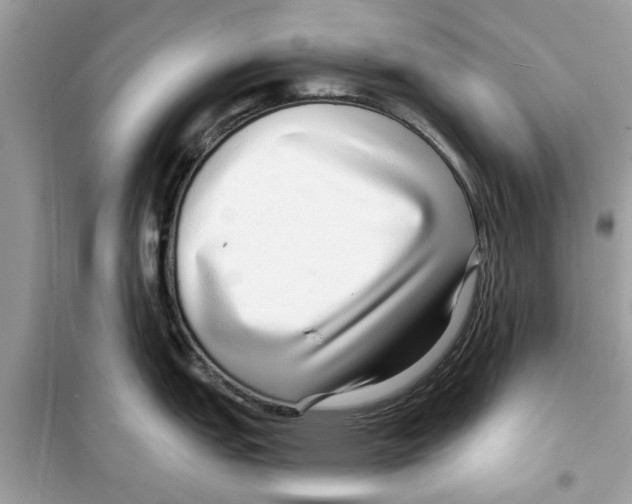 X0000098211151200805221622