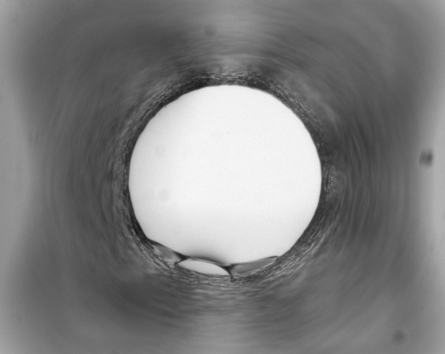 X0000098211153200805221621