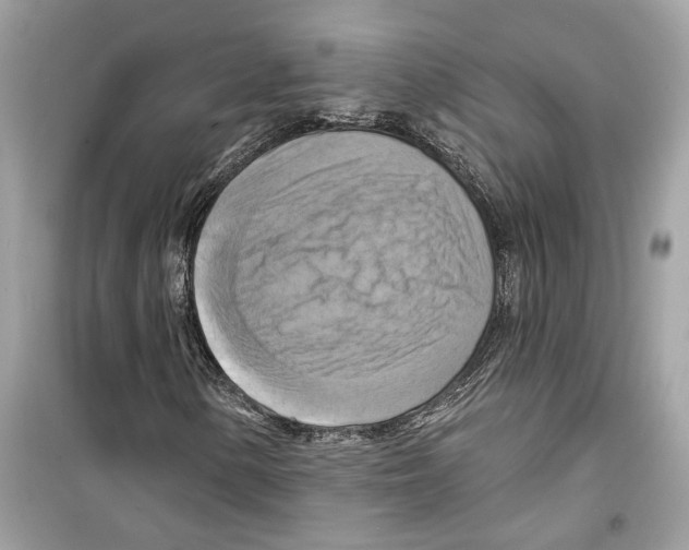 X0000098211154200805221621
