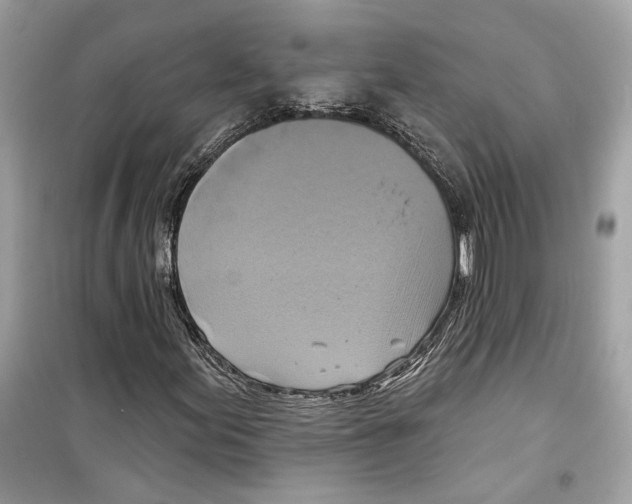 X0000098211155200805221621