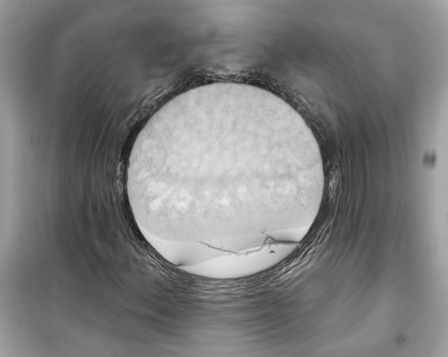 X0000098211156200805221621