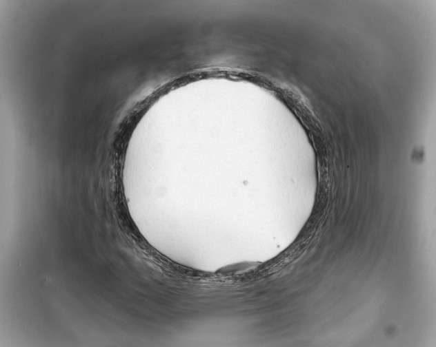 X0000098211159200805221621
