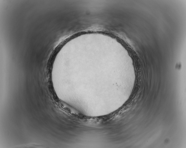 X0000098211160200805221621
