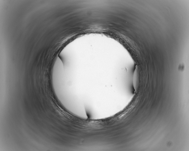 X0000098211161200805221621