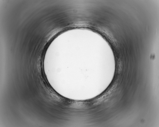 X0000098211162200805221621