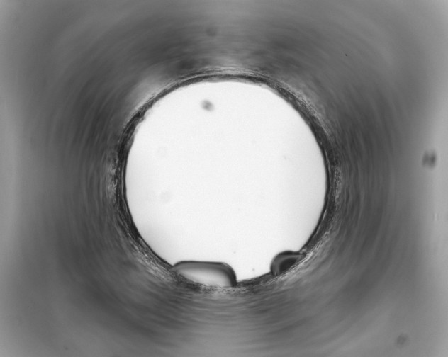 X0000098211163200805221621