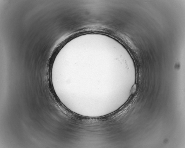 X0000098211164200805221621