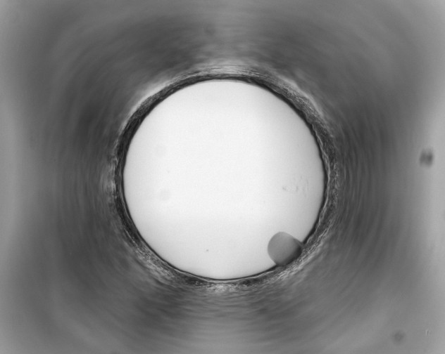 X0000098211166200805221621