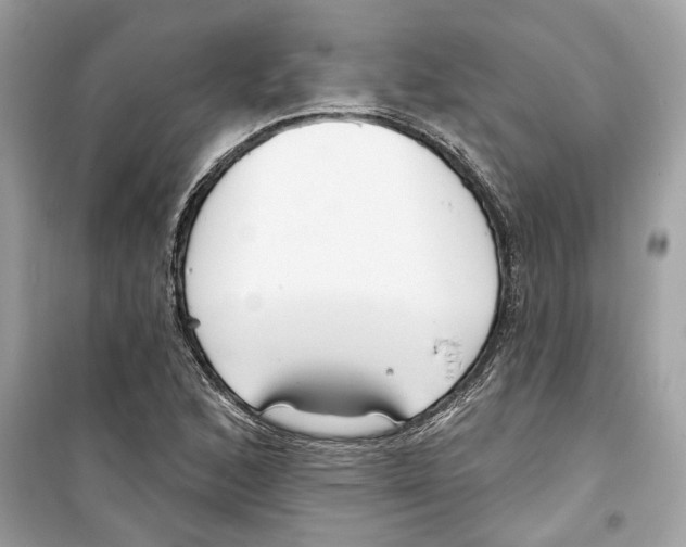 X0000098211168200805221621