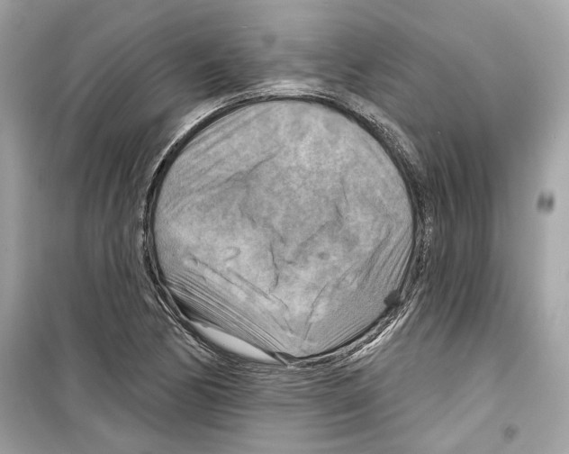 X0000098211170200805221621