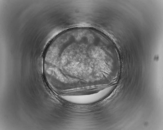 X0000098211171200805221621