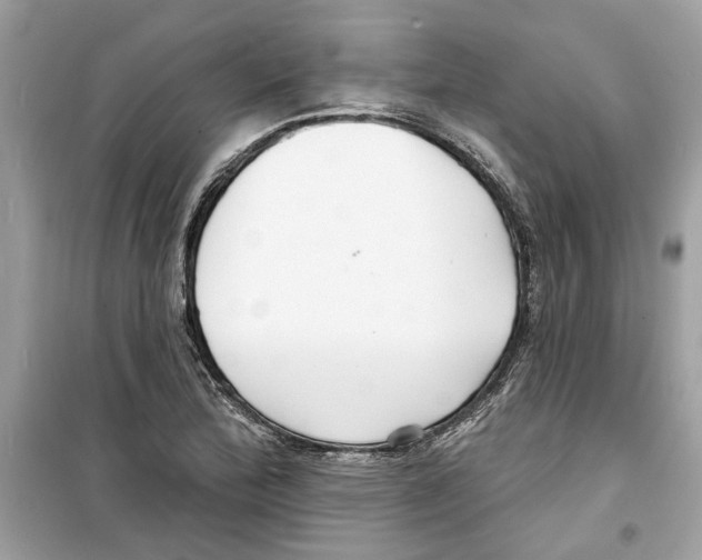 X0000098211172200805221621