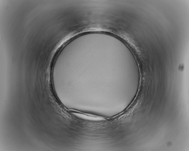 X0000098211173200805221621