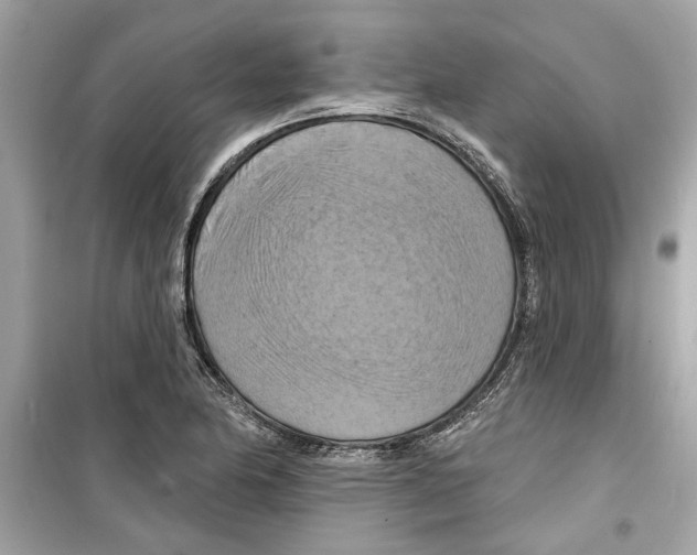 X0000098211174200805221621