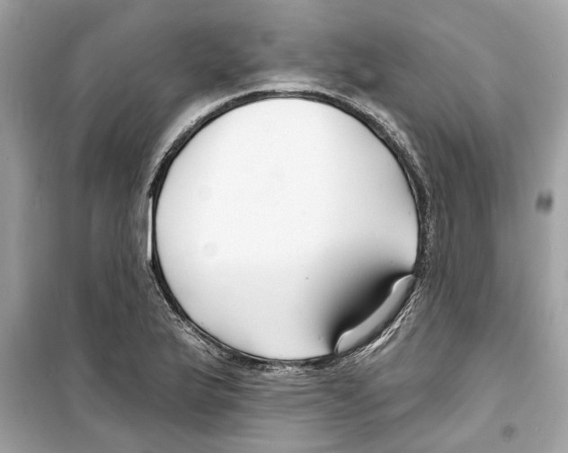 X0000098211175200805221621
