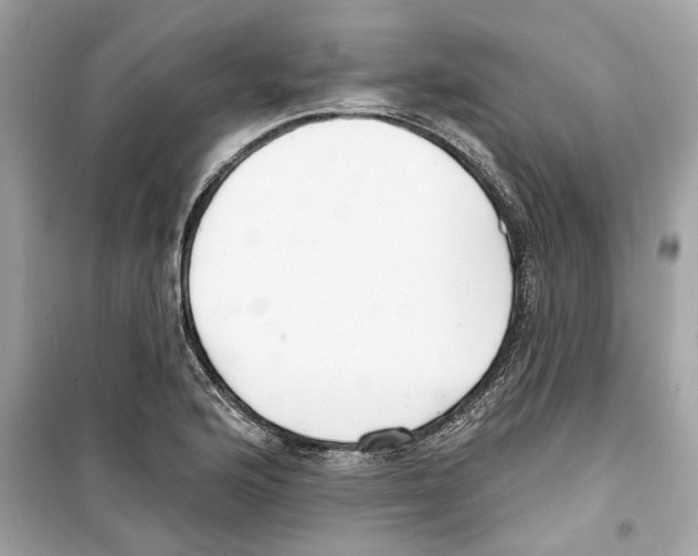 X0000098211176200805221621
