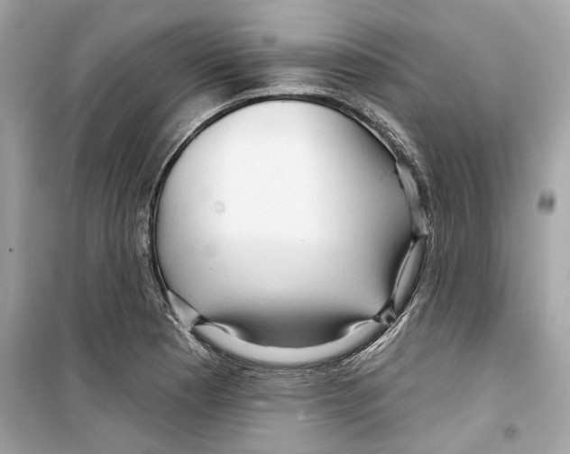 X0000098211177200805221621