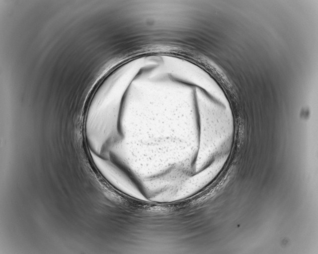 X0000098211178200805221621