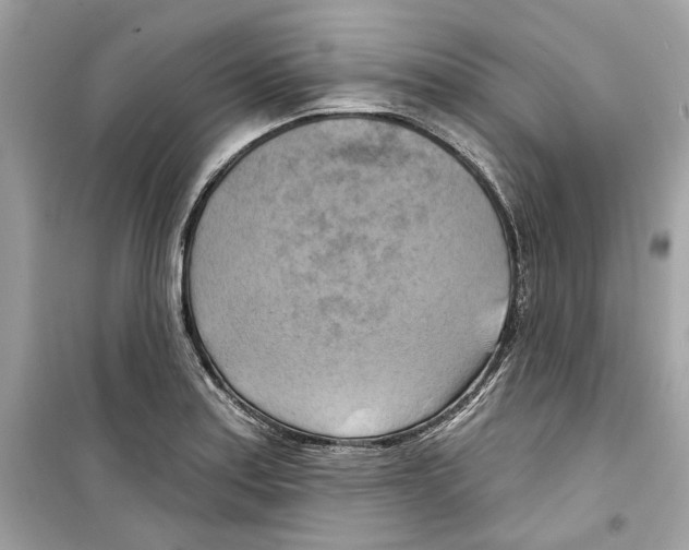 X0000098211179200805221621