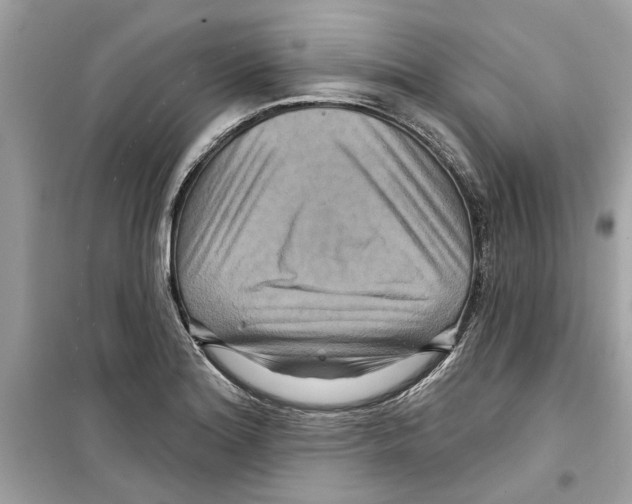 X0000098211180200805221621