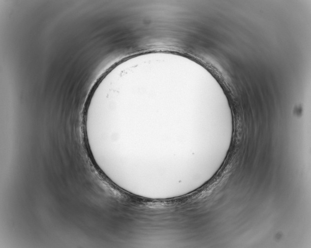 X0000098211182200805221621