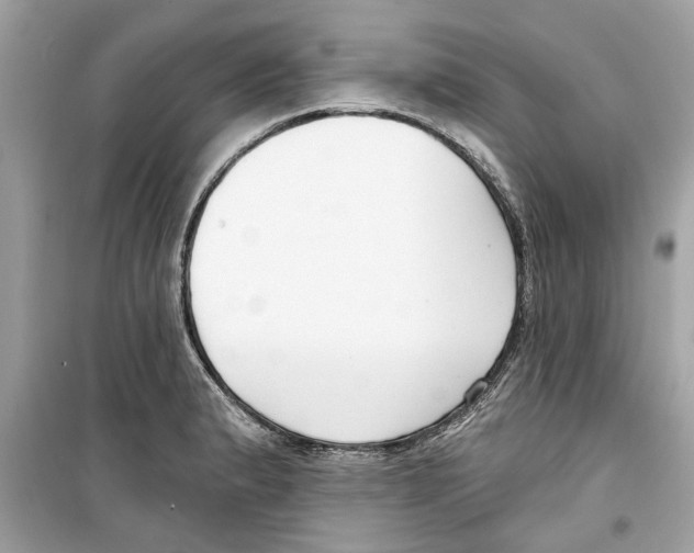 X0000098211183200805221620