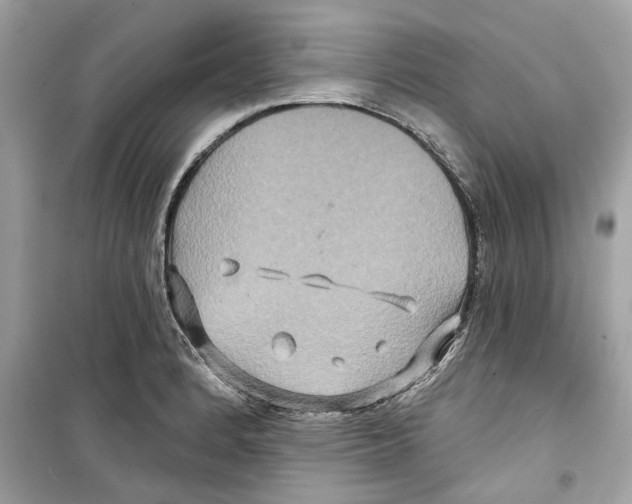 X0000098211184200805221620