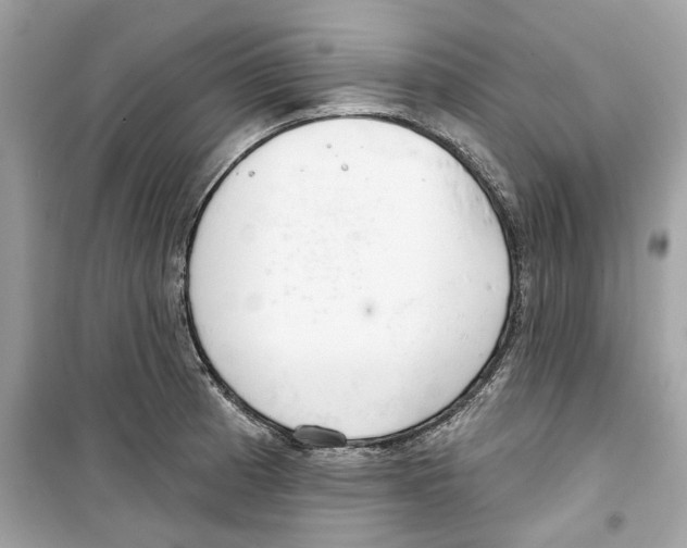 X0000098211185200805221620