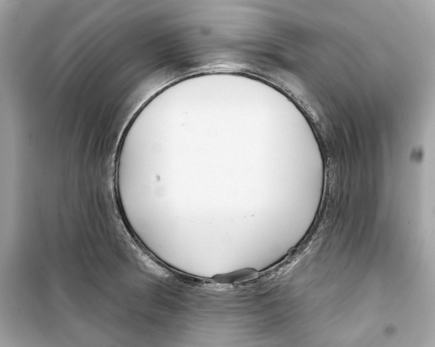 X0000098211186200805221620