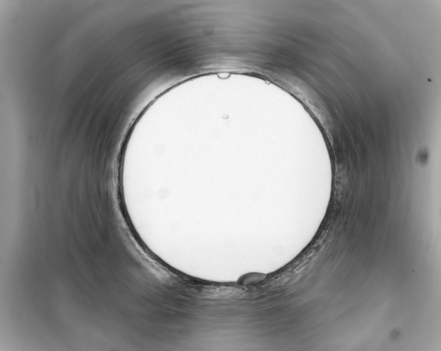 X0000098211187200805221620