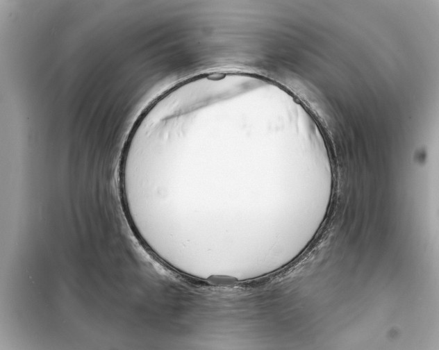 X0000098211189200805221620
