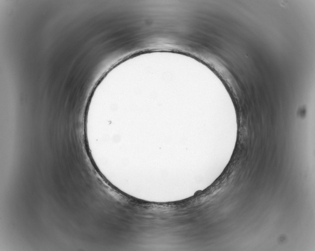 X0000098211191200805221620