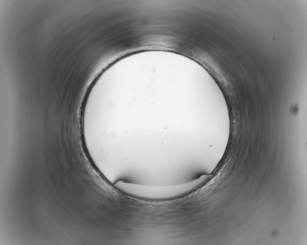 X0000098211192200805221620