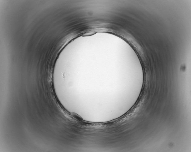 X0000098211193200805221620