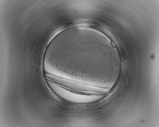 X0000098211194200805221620