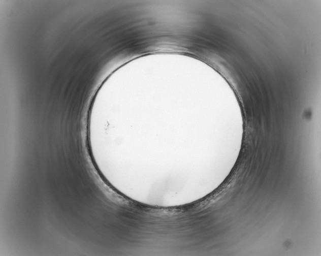 X0000098211195200805221620