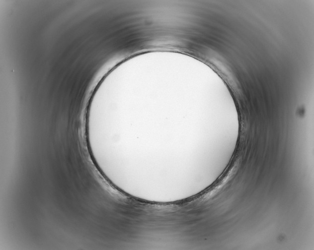 X0000098211196200805221620