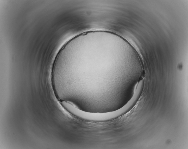 X0000098211197200805221620