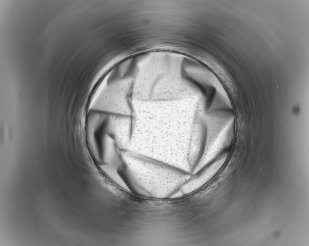 X0000098211198200805221620