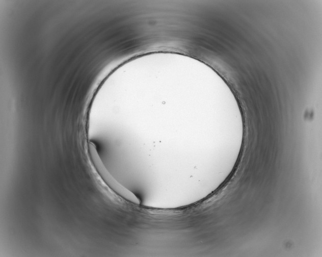 X0000098211200200805221620