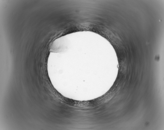X0000098211201200805221620