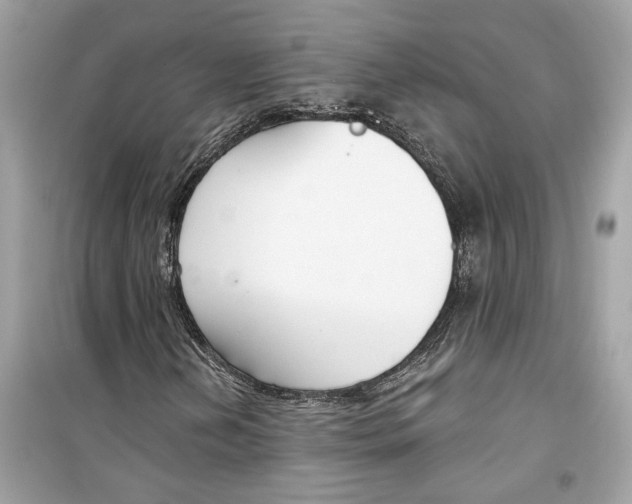 X0000098211202200805221620