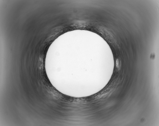 X0000098211203200805221620